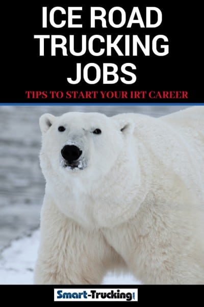 Polar bear on the ice Ice Road Trucking Jobs Tips To Start Your IRT Career