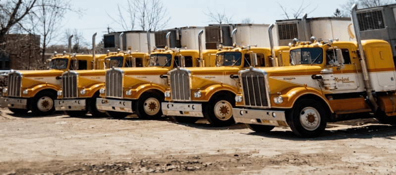 The Monfort Yard. Old Kenworth Trucks